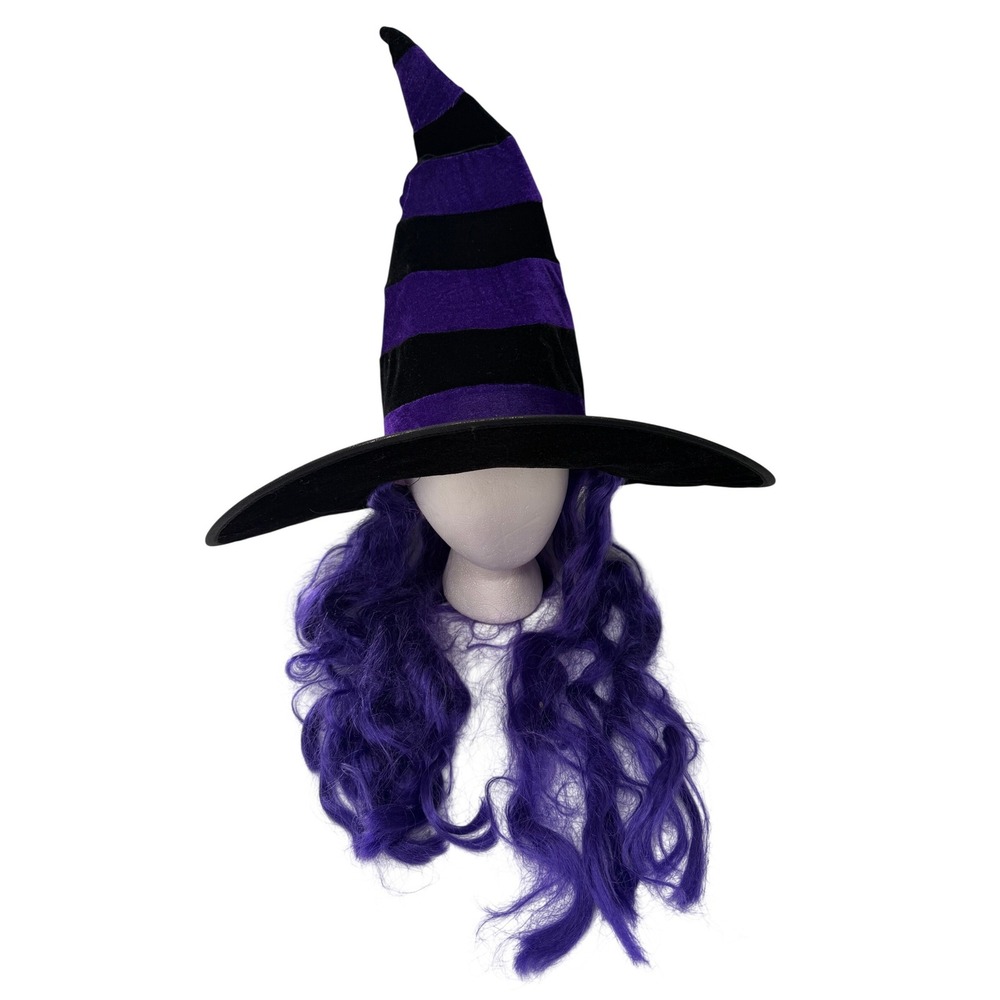 Aero Express Witch Hat with Purple Hair Attached Black Purple Striped Costume OS